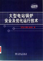 大型电站锅炉安全及优化运行技术