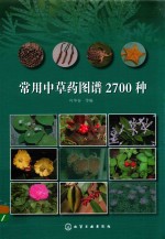 常用中草药图谱2700种