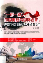 “一带一路”、中国崛起与国际合作 这对中国和区域意味着什么？