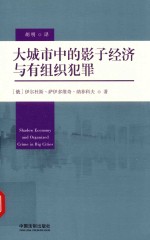 大城市中的影子经济与有组织犯罪