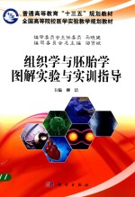 组织学与胚胎学图解实验指导与实训练习