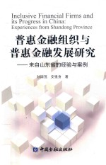 普惠金融组织与普惠金融发展研究 来自山东省的经验与案例