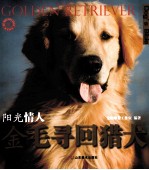 阳光情人：金毛寻回猎犬