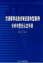 交通肇事逃逸侦破追查典型案例分析与责任认定手册  第2卷