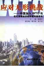 应对无形挑战∶中国加入 WTO 与优化湖南经济软环境对策研究