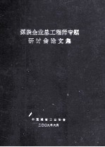 煤炭企业总工程师专题研讨会论文集