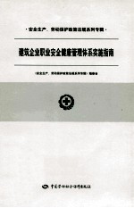 安全生产、劳动保护政策法规系列专辑 建筑企业职业安全健康管理体系实施指南