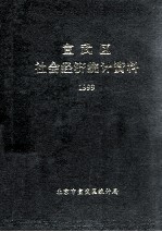 宣武区社会经济统计资料 1999