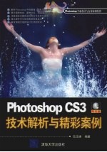 Photoshop CS3技术解析与精彩案例