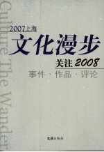 2007上海文化漫步 关注2008事件作品评论