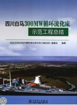 四川白马300MW循环流化床示范工程总结