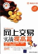 网上交易实战提高篇 购物平台、创业准备、进货、选址、店铺装修