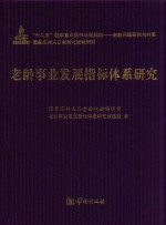 老龄事业发展指标体系研究