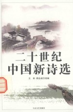 二十世纪中国新诗选 第4册