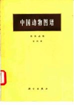 中国动物图谱 软体动物 第4册