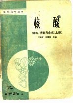 核酸 结构、功能与合成 上