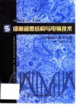 细胞超微结构与电镜技术  分子细胞生物学基础