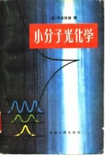 小分子光化学