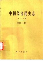 中国经济昆虫志 第29册 鞘翅目 小蠹科