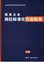 煤炭企业岗位标准化作业标准 下