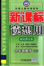 新课标读写想用 数学 九年级 下 北师大版