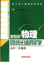 新教材物理同步分层导学 高中三年级