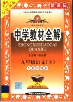 中学教材全解  语文  九年级  下  人教实验版