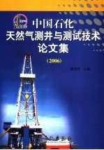 中国石化天然气测井与测试技术论文集 2006