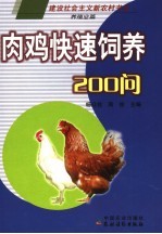 肉鸡快速饲养200问