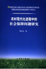 农村现代化进程中的社会保障问题研究