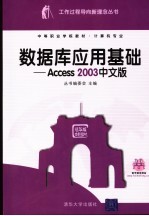 数据库应用基础 Access 2003中文版