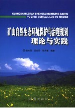 矿山自然生态环境保护与治理规划理论与实践