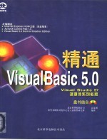 精通Visual Basic 5.0