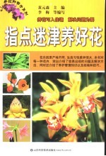 指点迷津养好花