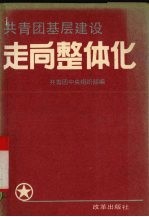 共青团基层建设走向整体化