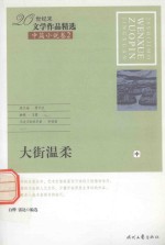 20世纪末文学作品精选 中篇小说卷 2 大街温柔 中