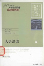 20世纪末文学作品精选 中篇小说卷 2 大街温柔 下