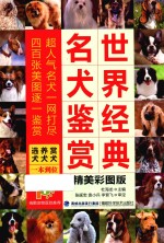 世界经典名犬鉴赏