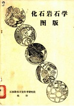 化石岩石学图版