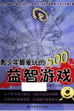 青少年最爱玩的500个益智游戏