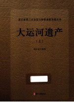 浙江省第三次全国文物普查新发现丛书 大运河遗产 上