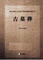 浙江省第三次全国文物普查新发现丛书 古墓葬