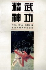 精武神功