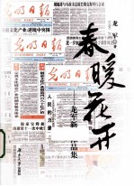 春暖花开 龙军新闻作品集