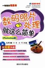 一学就会傻瓜书 数码照片处理就这么简单 Photoshop版