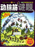 动脑筋谜题 12 登山冠军赛