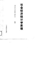 社会经济统计学原理