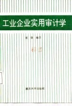 工业企业实用审计学