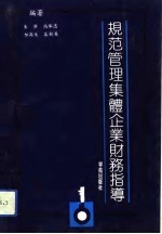 规范管理集体企业财务指导