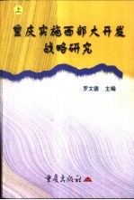 重庆实施西部大开发战略研究